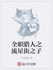 全职猎人之流星街之子