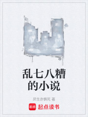乱七八糟的小说