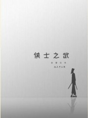 侠士之武