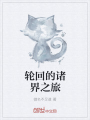 轮回的诸界之旅