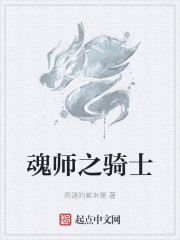 魂师之骑士