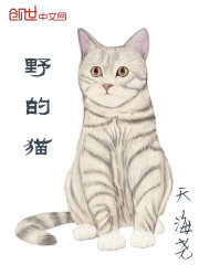 野的猫