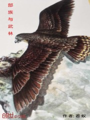 部族与武林