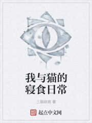 我与猫的寝食日常