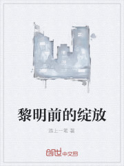 黎明前的绽放