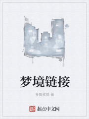 梦境链接