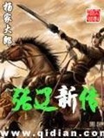 张辽新传