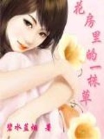花房里的一株草