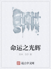 命运之光辉