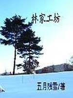 林家工坊