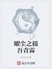 曜尘之摄吾青霖