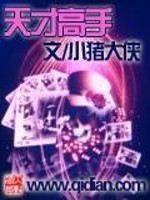 天才高手