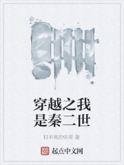 穿越之我是秦二世