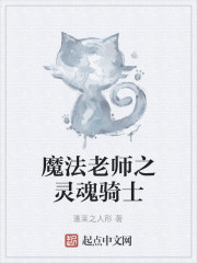 魔法老师之灵魂骑士