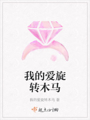 我的爱旋转木马