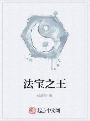 法宝之王