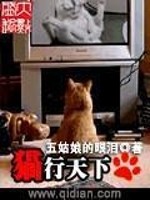 猫行天下