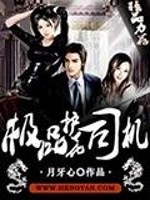极品护花司机