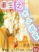 重生之大小说家