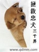 拯救忠犬