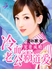 霸道老公宠妻成瘾