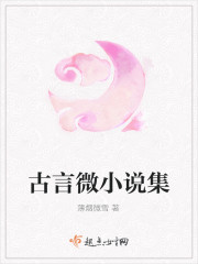 古言微小说集