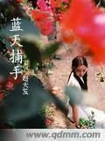 蓝天捕手