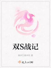 双S战记