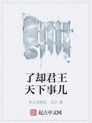 了却君王天下事儿