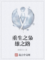 重生之枭雄之路