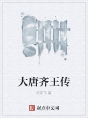 大唐齐王传