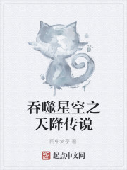 吞噬星空之天降传说