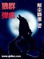 狼群，弹痕