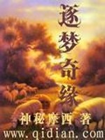 逐梦奇缘