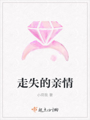 走失的亲情