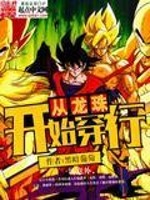 从龙珠开始