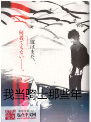 我当骑士那些年