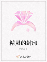 精灵的封印