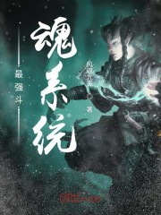 最强斗魂系统