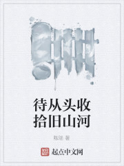 待从头收拾旧山河