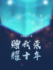 赠我荣耀十年免费阅读