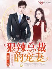 小说《狠辣总裁的宠妻》全文免费阅读-锤石文学