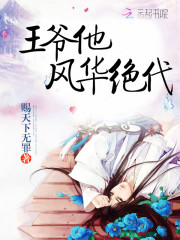 王爷他风华绝代免费阅读
