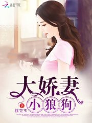 大娇妻，小狼狗免费阅读