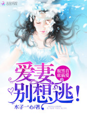 腹黑首席霸爱：爱妻，别想逃！免费阅读