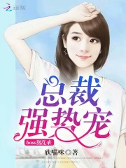 总裁强势宠：boss别乱来免费阅读