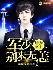 娇妻至上：陆少别来无恙免费阅读