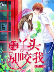 校草的笨女孩免费阅读