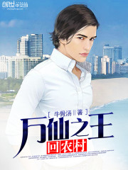 万仙之王回农村免费阅读