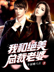 我和绝美总裁老婆免费阅读